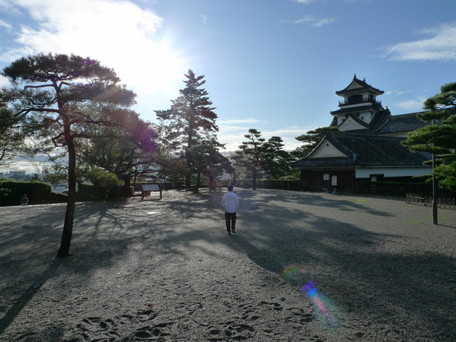今日のにっこりひまわり、連続更新2000日!