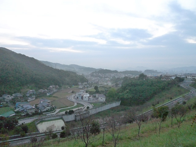 観月坂、加賀野井、宇津野、MS、王子神社