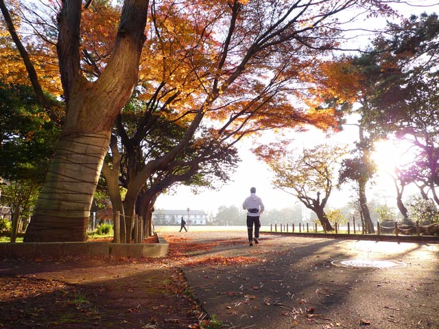 仙台、榴岡公園は美しゅうございました