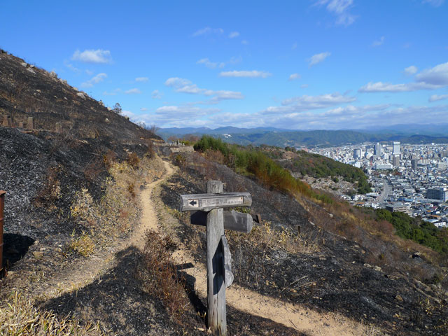 高見山は焼けて見晴らし抜群!