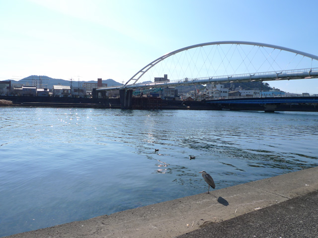 ひねもすのたりの鏡川