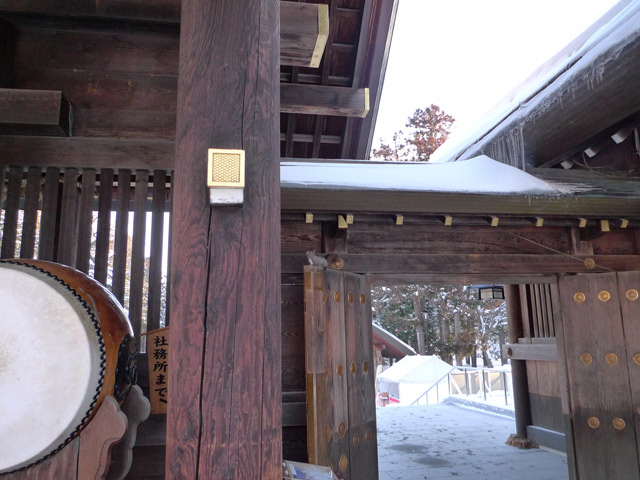 北海道神宮、エゾリス?