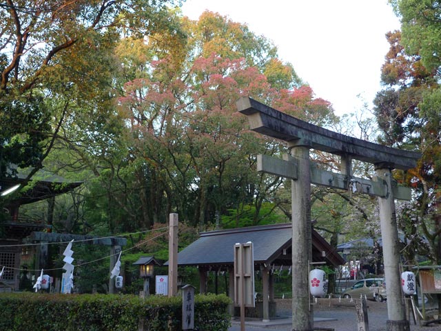 潮江天満宮、春の紅葉