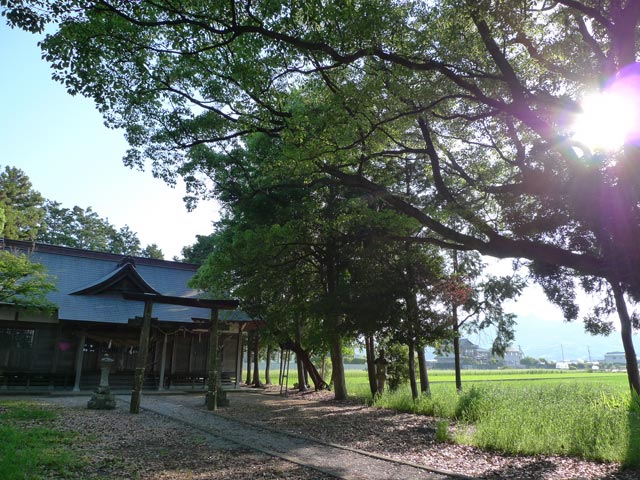 野市の深渕神社、深渕水夜礼花命さん