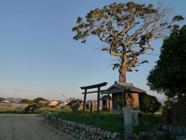 千屋城址の城八幡