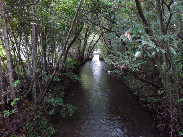野市の水路について考える