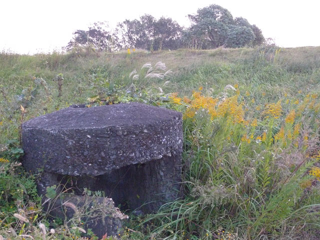 物部川土手のトーチカと白菊隊