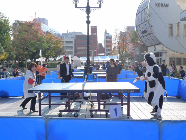 中央公園で牛が卓球