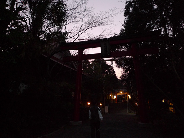 夜明け前の日根野、日根神社