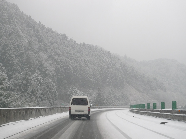 雪が降りゆう高知道