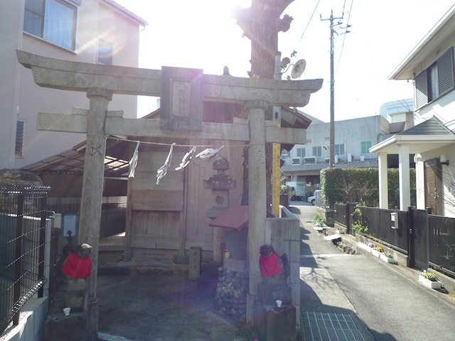 高ノ森合戦と八頭神社