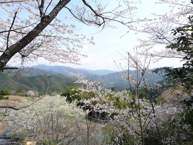 上里(じょうり)はビックリするほどキレイでした
