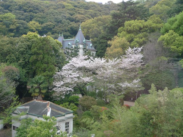 お城の下の博物館のはなし