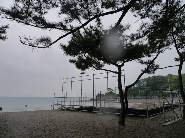 桂浜の大おきゃくは面白かったです