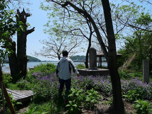 2度目の丸山台は晴れちょりました