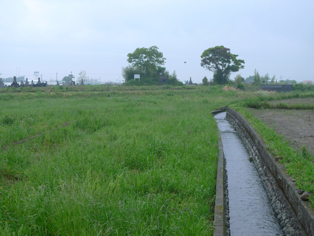 雨、蛇の目傘、番傘、こうもり傘