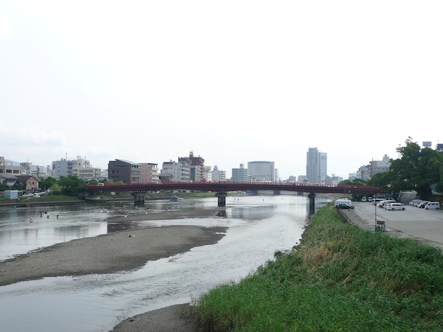 鏡川、天神の大クスノキ、シジミ採り、龍馬の水泳練習