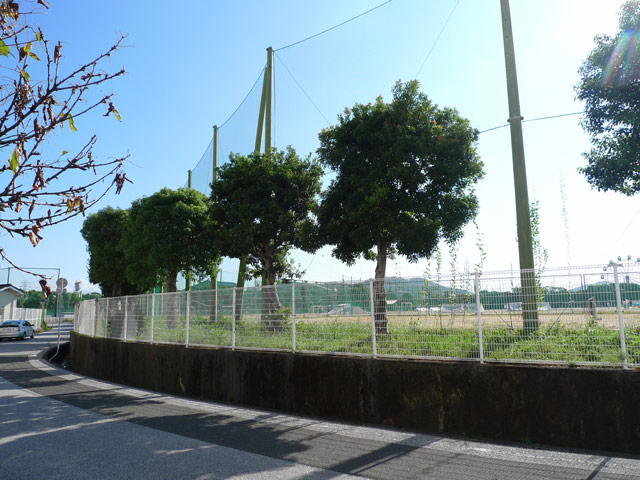 競馬場の痕跡、古き良き時代
