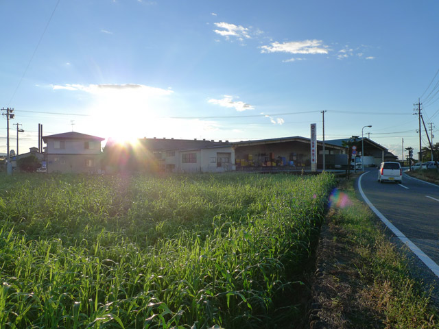 左側通行と右側通行と対面通行とニッポン人