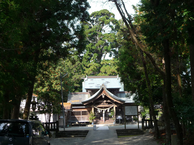 小村神社の牡丹杉はすごいです