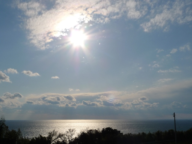 大野台地の決意