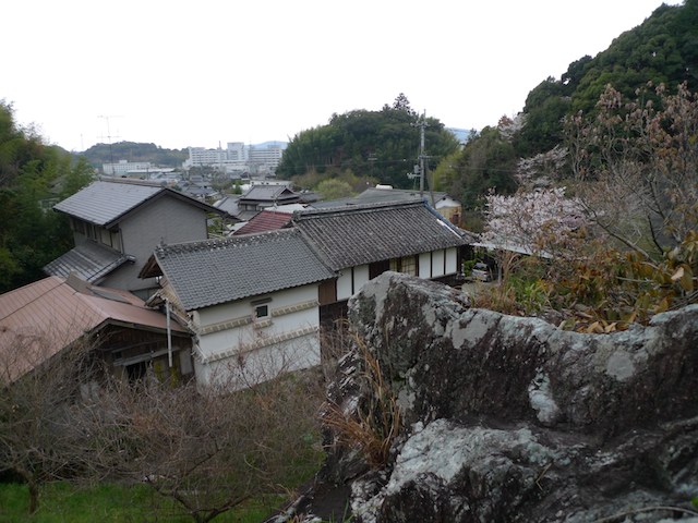 奥谷南遺跡をみつけました