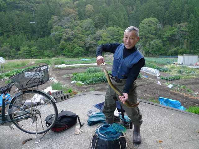 鏡川にあった中水力発電所とウナギ