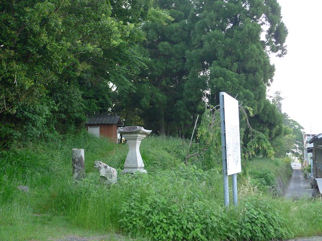 にっこりひまわり連続記録危機一髪!