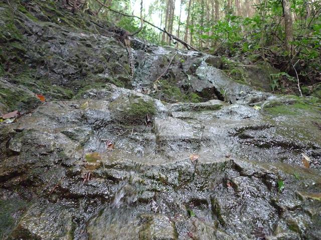 水のある風景、懐かしい