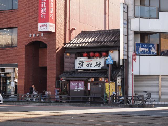 高知の文化を守る葉牡丹