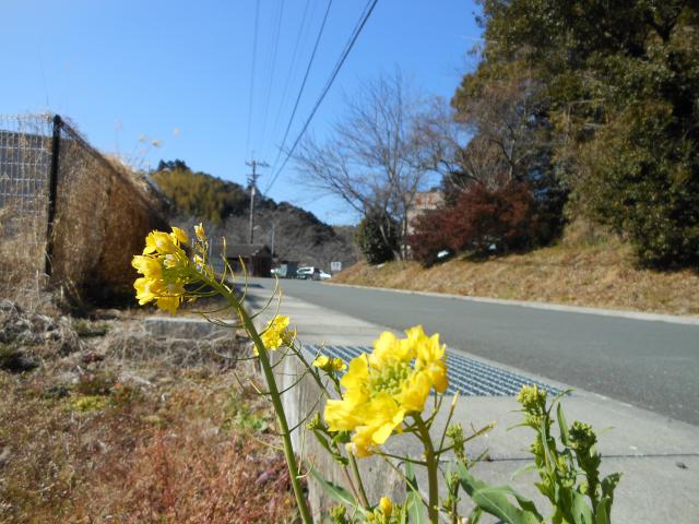 馬場孤蝶さんと蘇鶴温泉