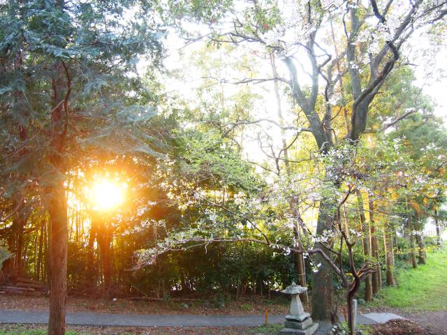 上岡山は物部郷の命山