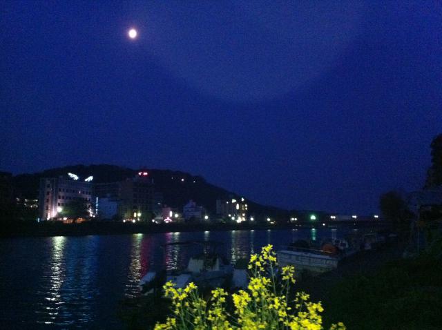 菜の花、朧月夜、君の名は