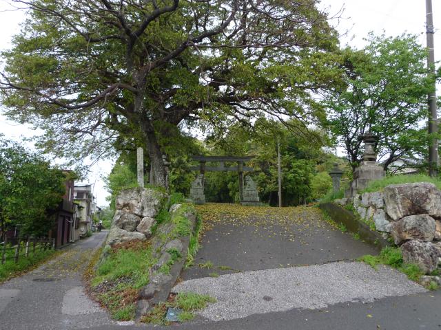 段丘境目の起点と命山の形成