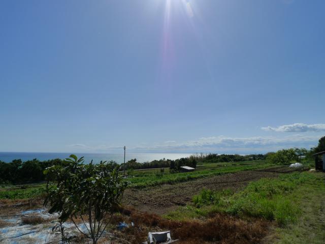 久々の野球、田野、大野台地、そして宴会