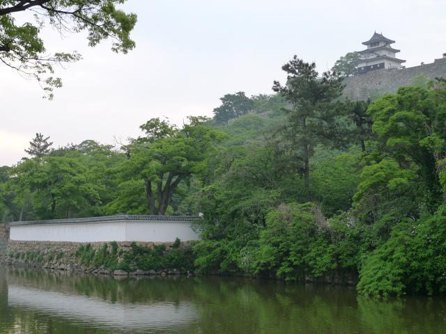 表裏入れ替わった丸亀城
