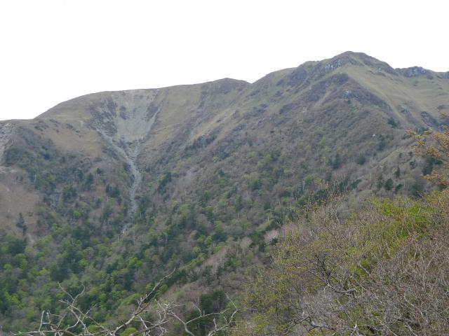 またまた三嶺、冒険した場所を眺める