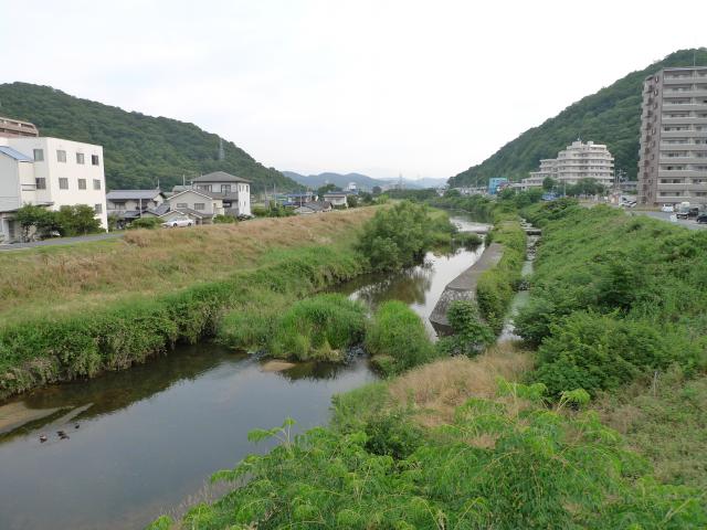 おばあさんが洗濯しよった川の近くに住みよりました