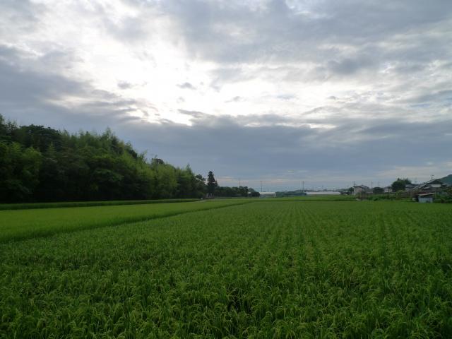 67年前の初夏、この風景のなかで