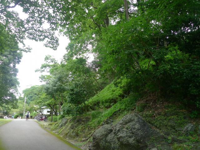 ここに戦争があった痕跡は