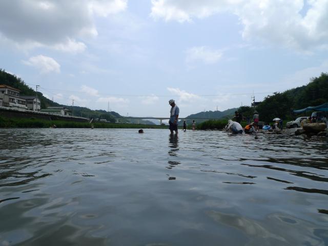 朝だ緑の並木道