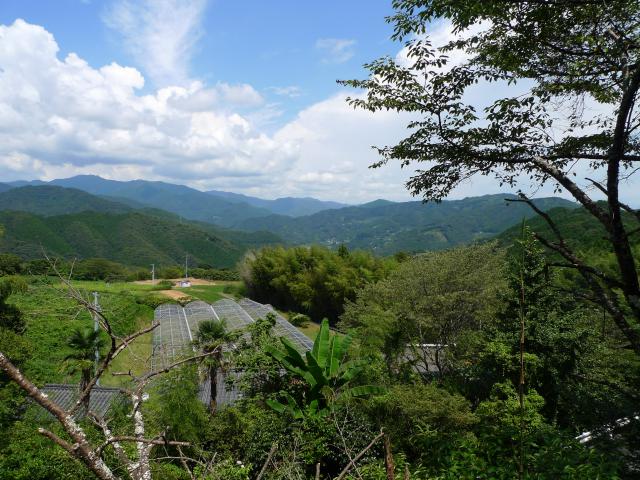 鏡川遡上、炎天下の山ラン