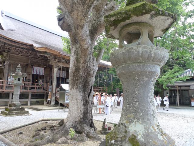よさこい節、時系列での整理