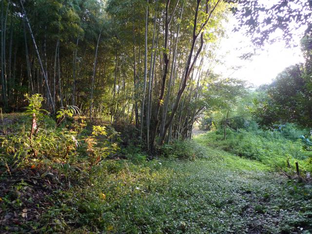 上岡山の手づくり避難路