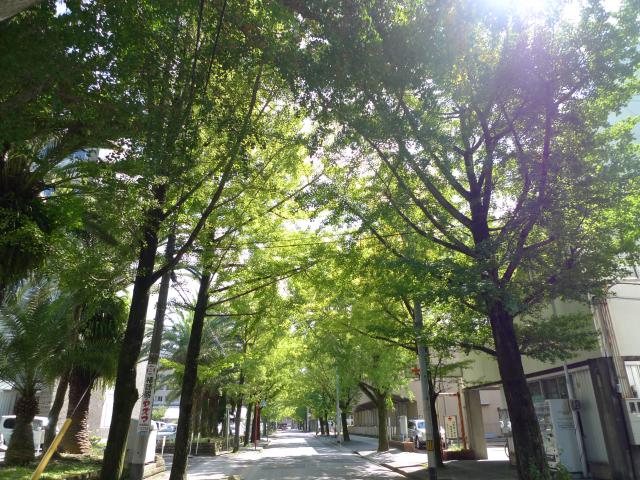幕末土佐のすごい賑わい2