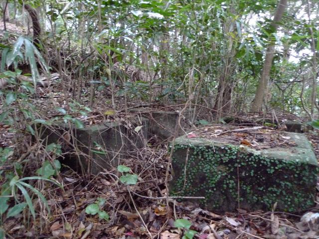 鷲尾山北斜面、これは痕跡や否や