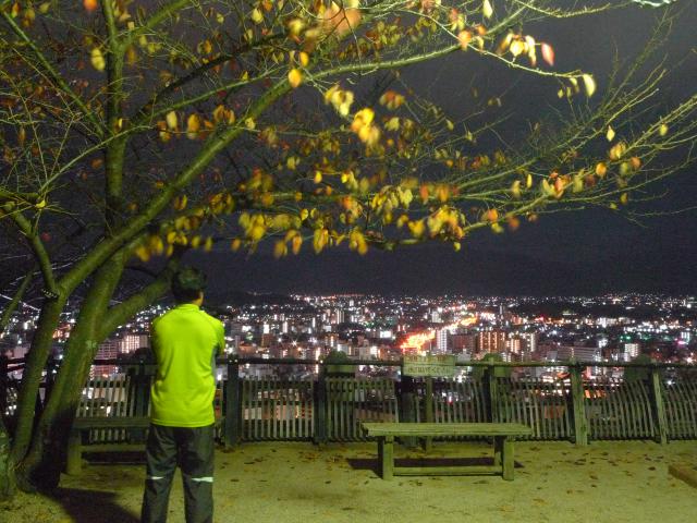松山の夜景ぞなもし