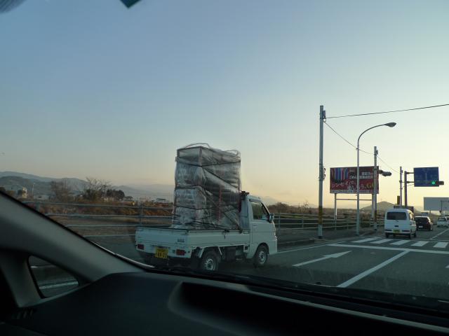 高知は、もう、春です