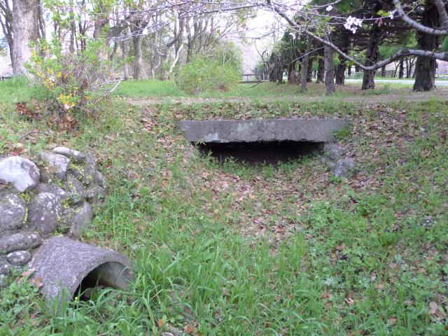 つい、こないだまで、種馬所でした