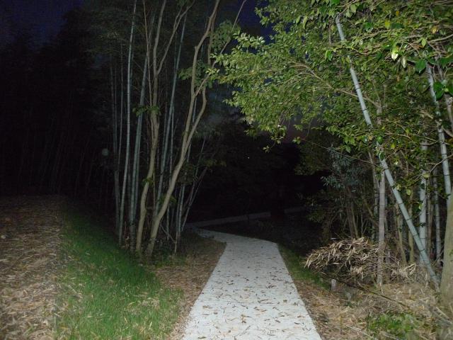 上岡山に避難路が整備されるまで